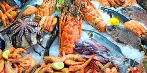 Quelques produits de pêche